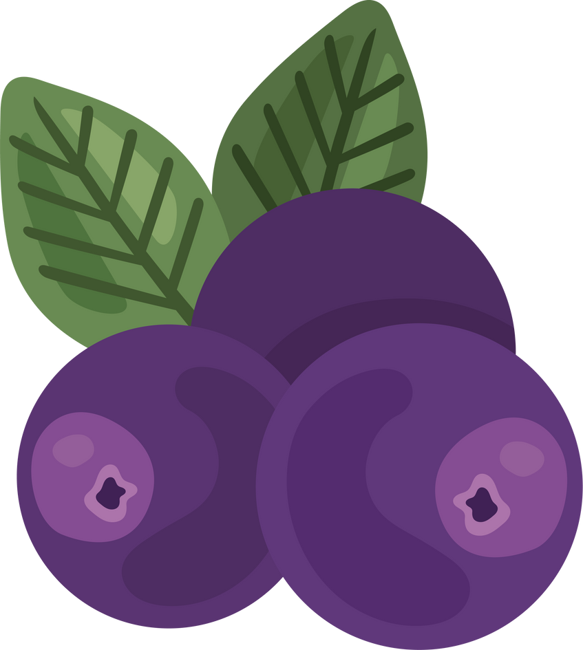 acai berries design